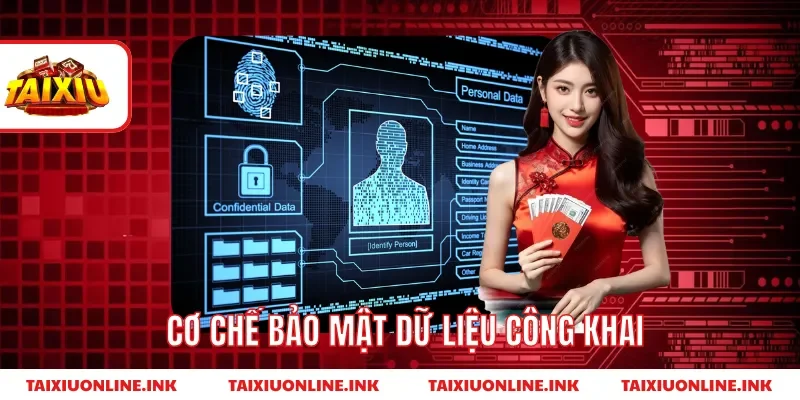 Cơ chế bảo mật dữ liệu công khai